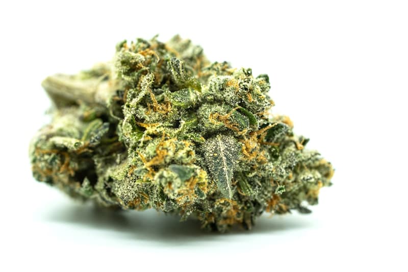 Strain-Specific Terpene Profiles